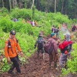 Tim SAR Menyatakan Pencarian Wira di Hutan Sungai Penuh Ditutup, Korban Dinyatakan Hilang